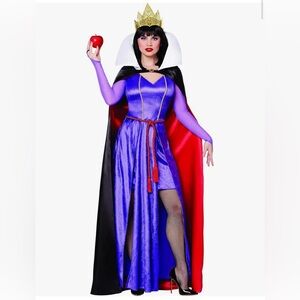 Women's Disney Villians Evil Queen Costume (Medium)
